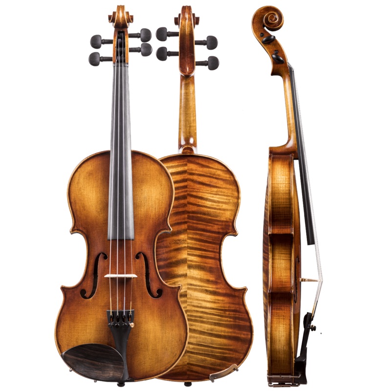 Dvorak Violin 4/4 Outfit - Amati's Fine Instruments