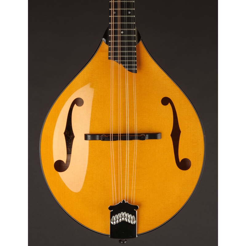Collings MT2 Honey Amber