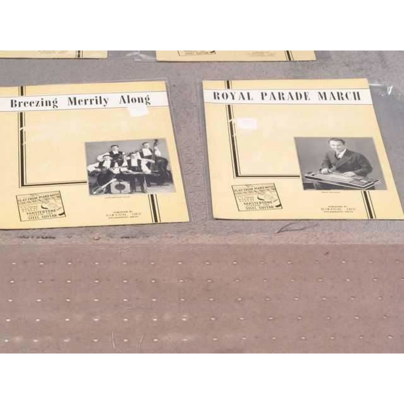 Mastertone System for Steel Guitar