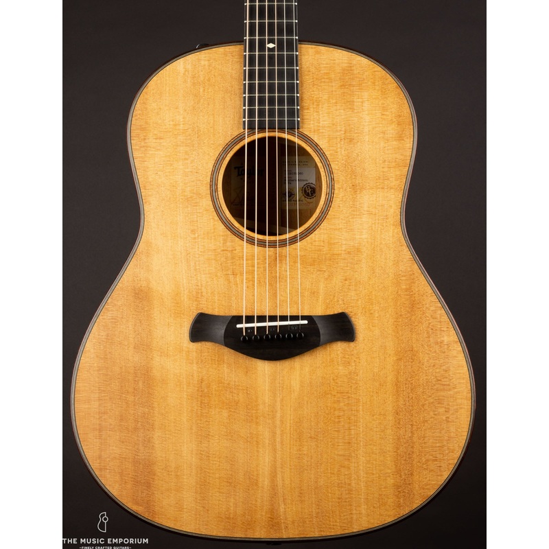 Taylor 517e Natural Grand Pacific