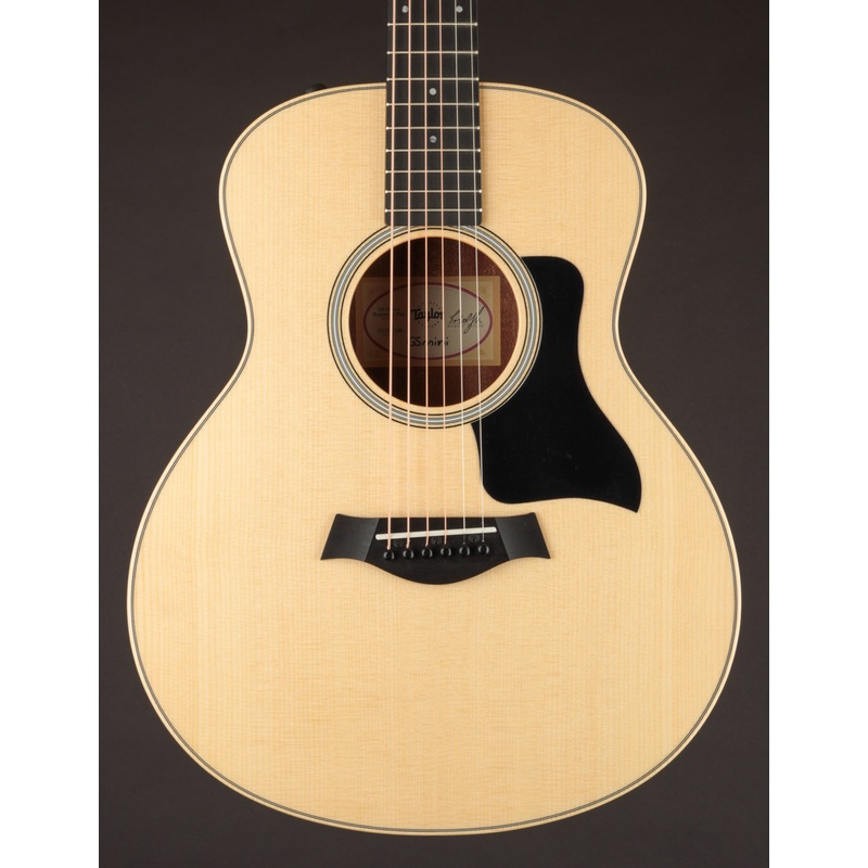 Taylor GS Mini-e Rosewood Plus