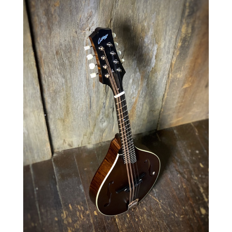 Collings MT A-Model, Sheraton Brown with Ivoroid Binding & Case