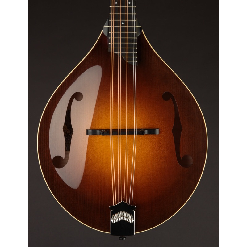 Collings MT Mandola Sunburst Gloss Top