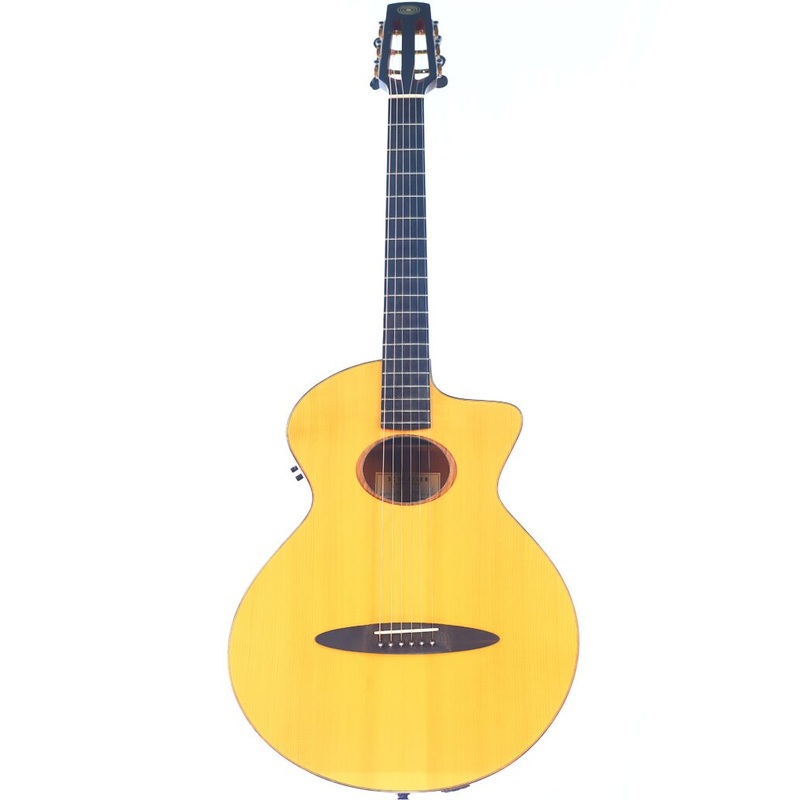 Schertler SM Akustik Gitarre