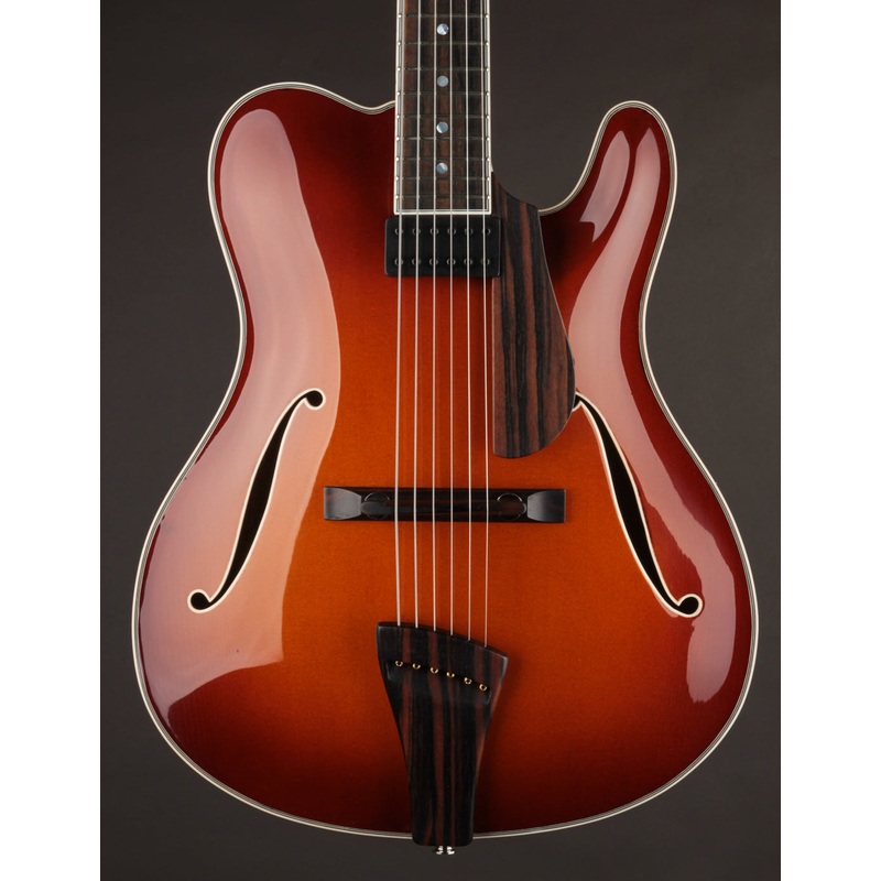 Tim Bram Tribute Custom Thinline #55