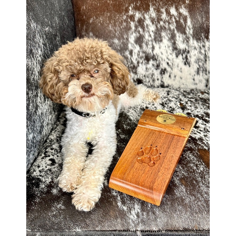 Wild Dog Custom Shop Blackwolf Stomp Box - 16679