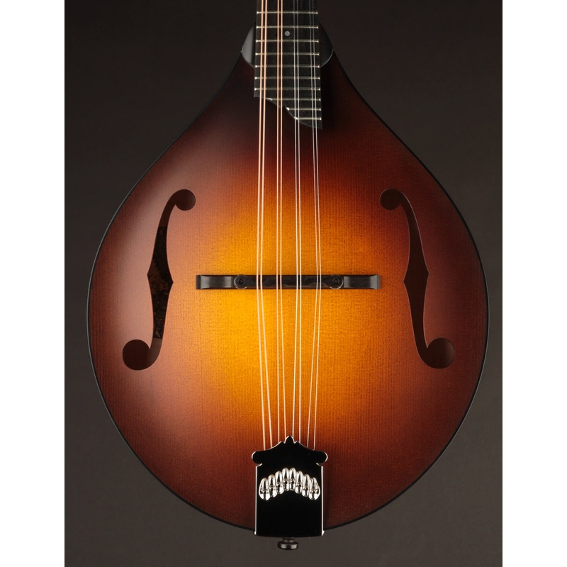 Collings MT Sunburst