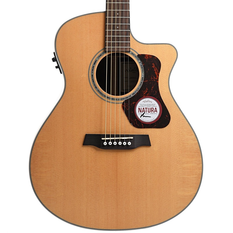 Walden Natura G800CE Acoustic-Electric Guitar & Gigbag