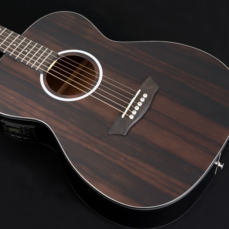 Washburn Deep Forest Ebony FE Acoustic-Electric Guitar, Stripe Ebony