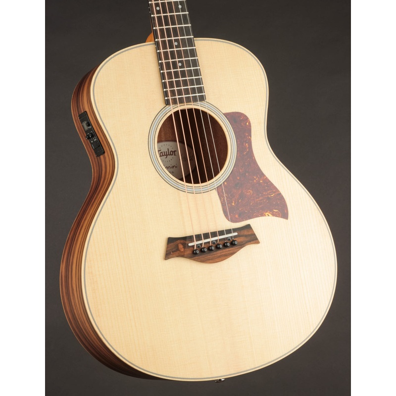 Taylor GS Mini-E Rosewood