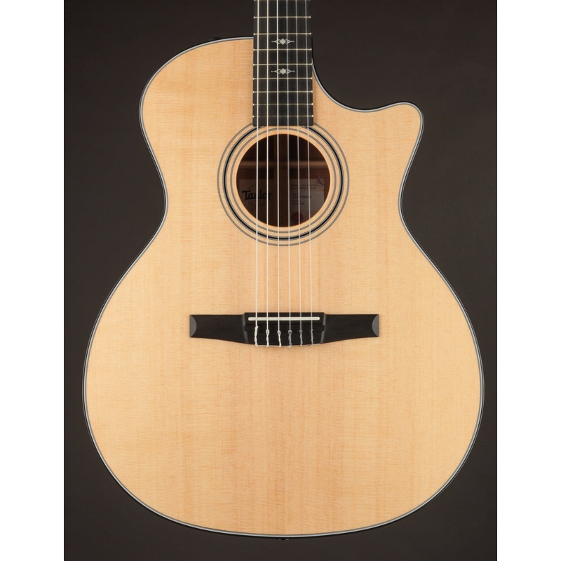 Taylor 314CE Nylon