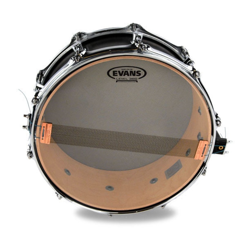 Evans 300 Snare Side 10"