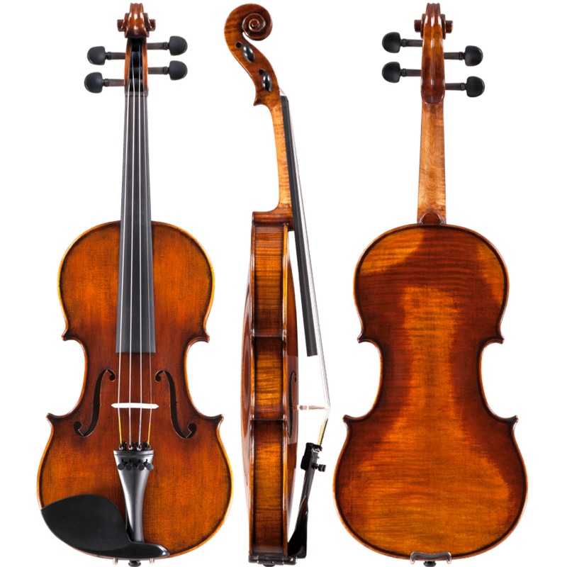 #125+ Violin Outfit - Amati's Fine Instruments