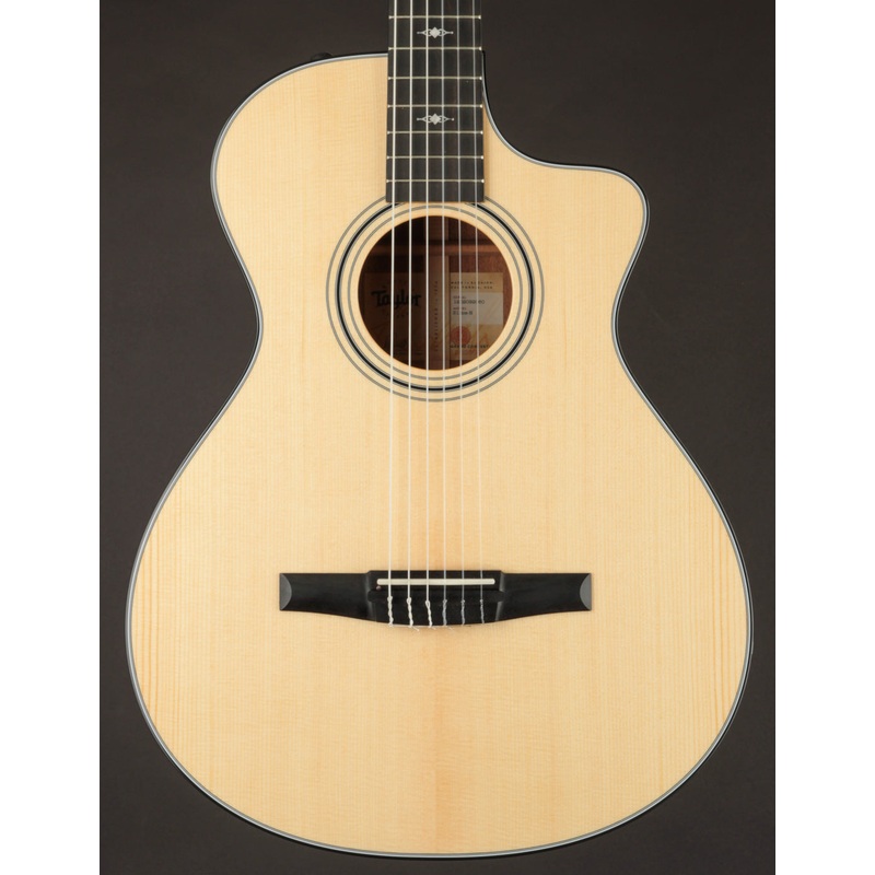 Taylor 312CE-N Nylon