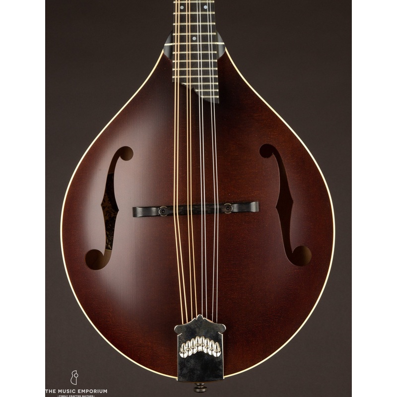 Collings MT Full Sheraton Brown w/ Ivoroid Binding